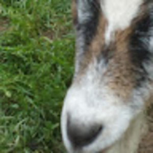 Meet your Posher, Sabrina